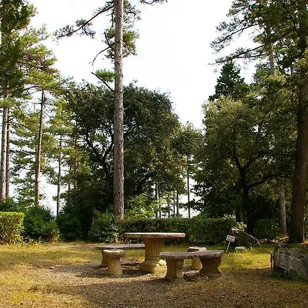 La Ginelle - Bocage *